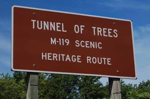 Tunnel of Trees